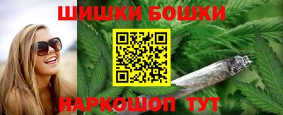 индика Тулун