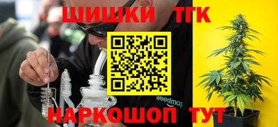 индика Тулун