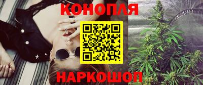 индика Тулун