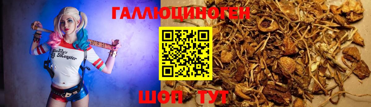 Краснокаменск  Псилоцибиновые грибы GOLDEN TEACHER  Вход с VPN 